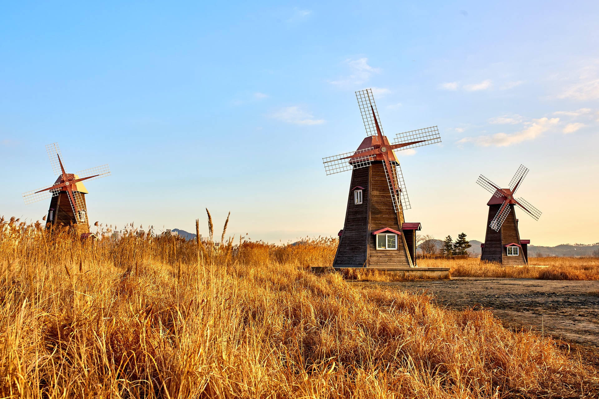 Czym się wyróżnia styl holenderski?
